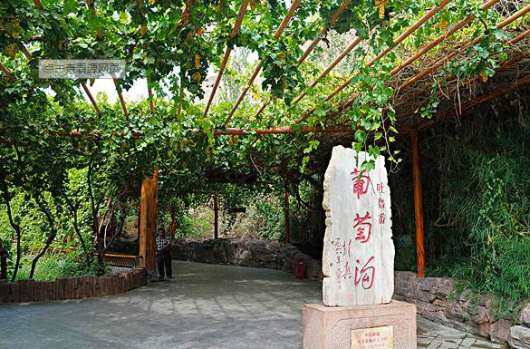 葡萄沟